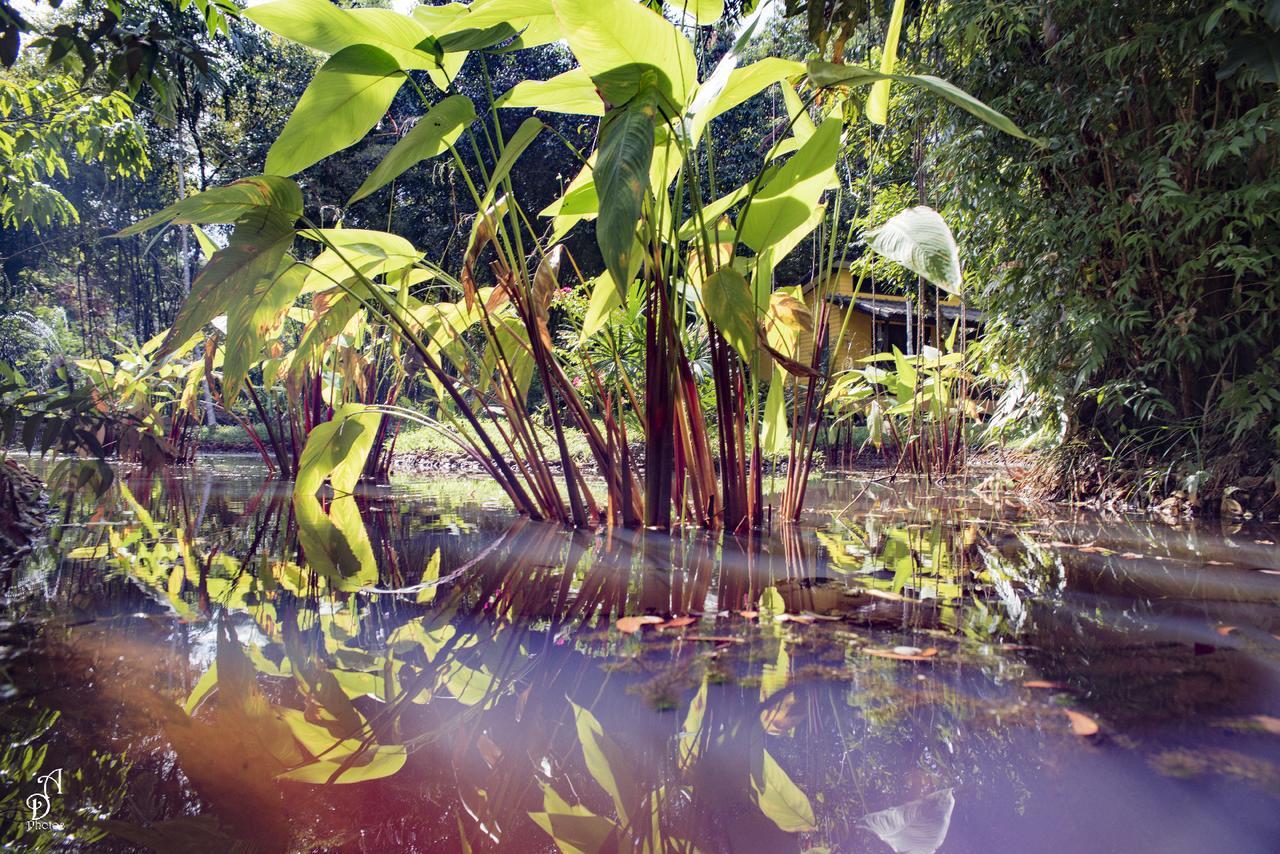 Garden Of Joy Hotel Csang-sziget Kültér fotó